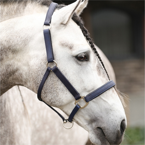 Equilibrium New Stellar Headcollar EQB1681 - Navy